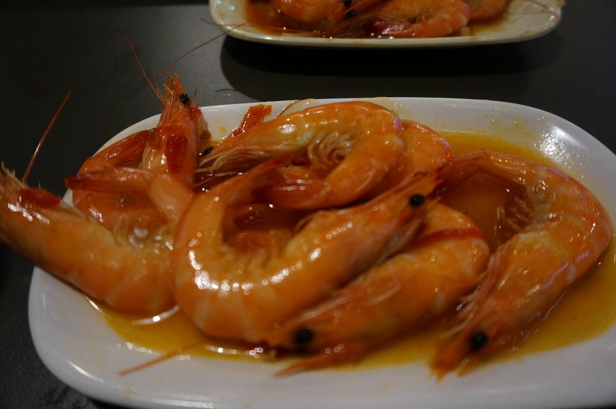 DSC00093 DSC00093
