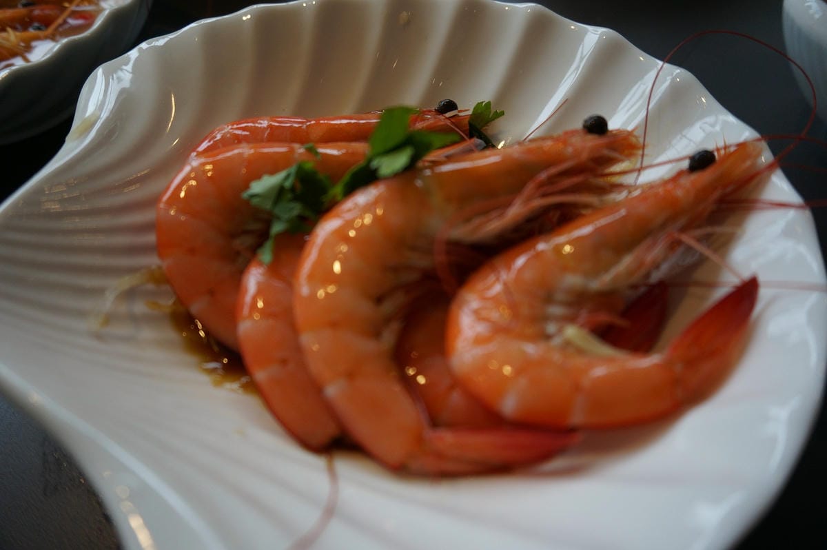 DSC00295 DSC00295