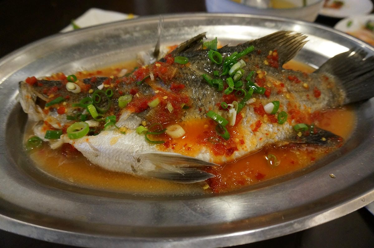 DSC00324 DSC00324