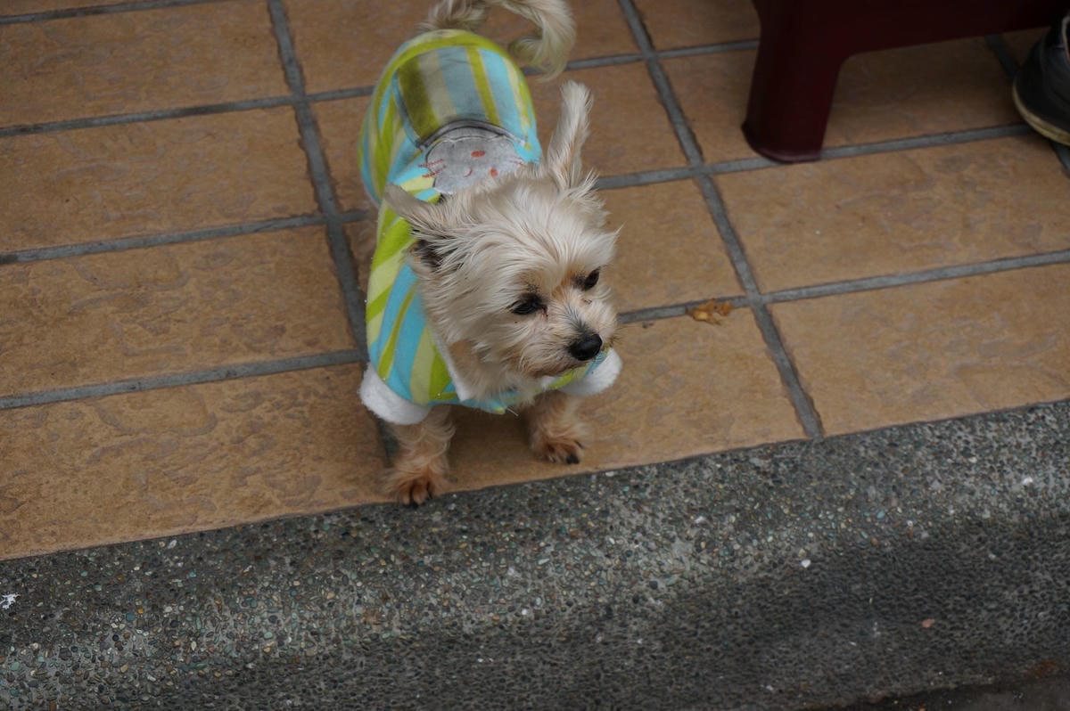 DSC01435 DSC01435