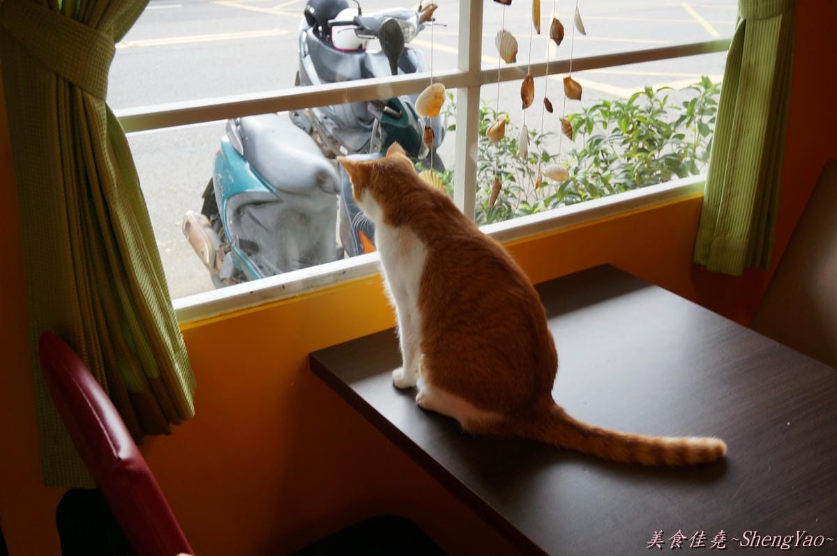 DSC05235