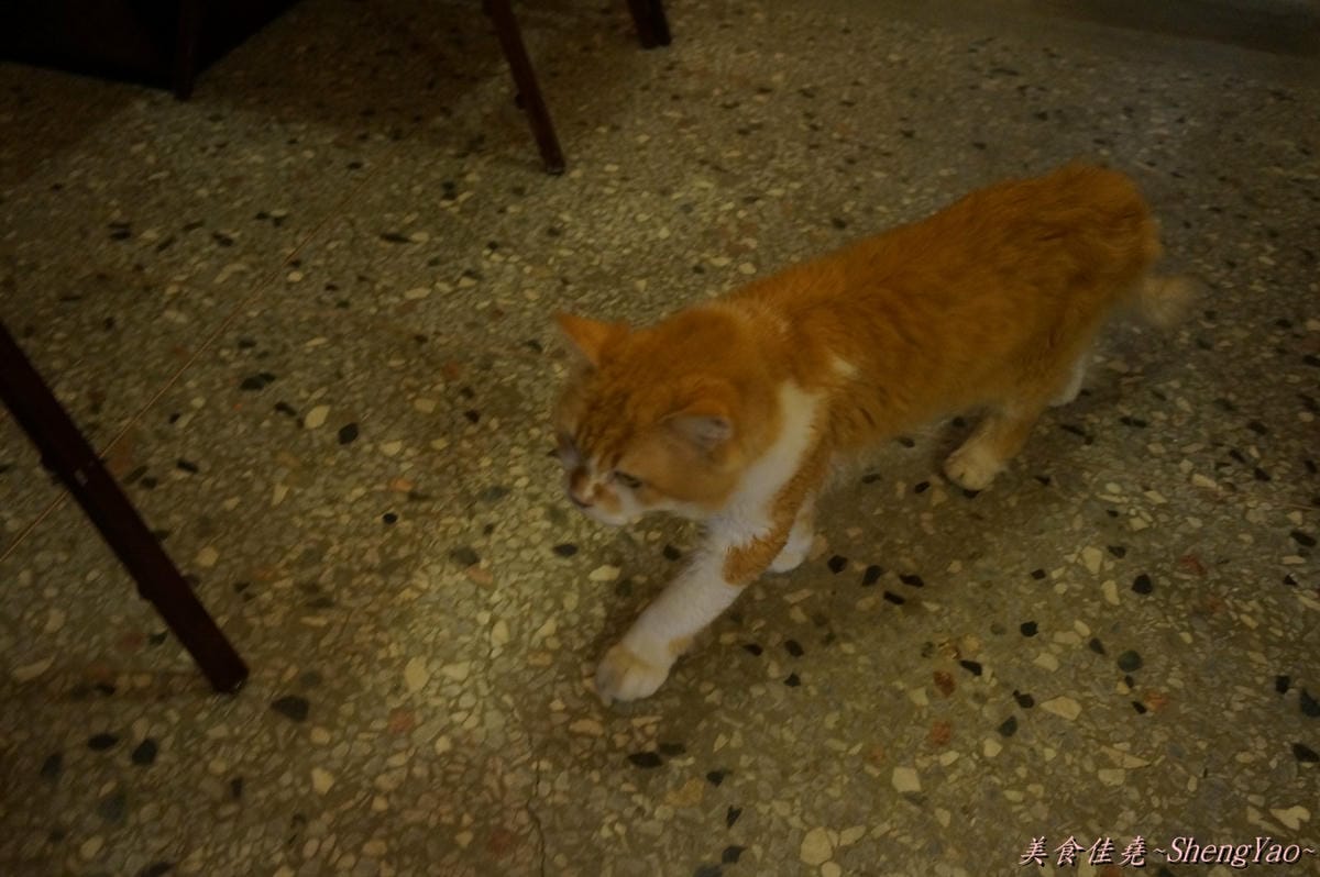 DSC05225