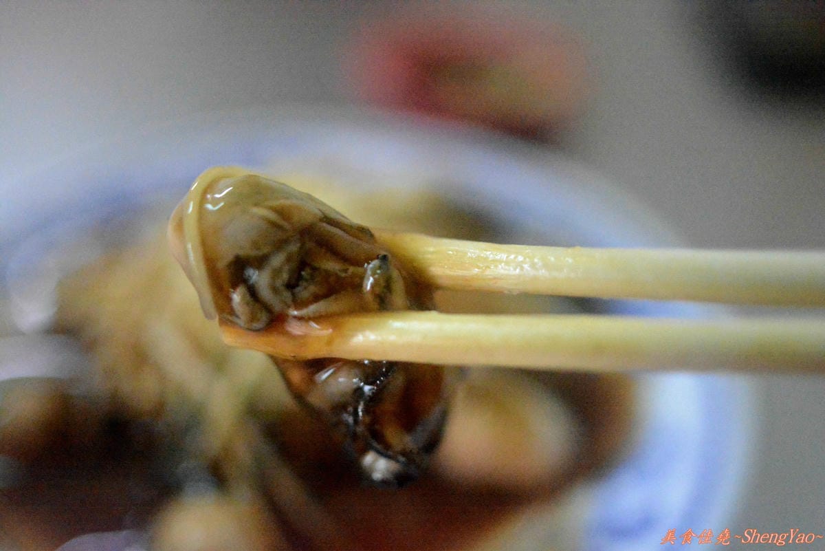 [台中清水]大嘉義火鷄肉飯 – 一不小心就會吃到破千元的老饕級雞肉飯。