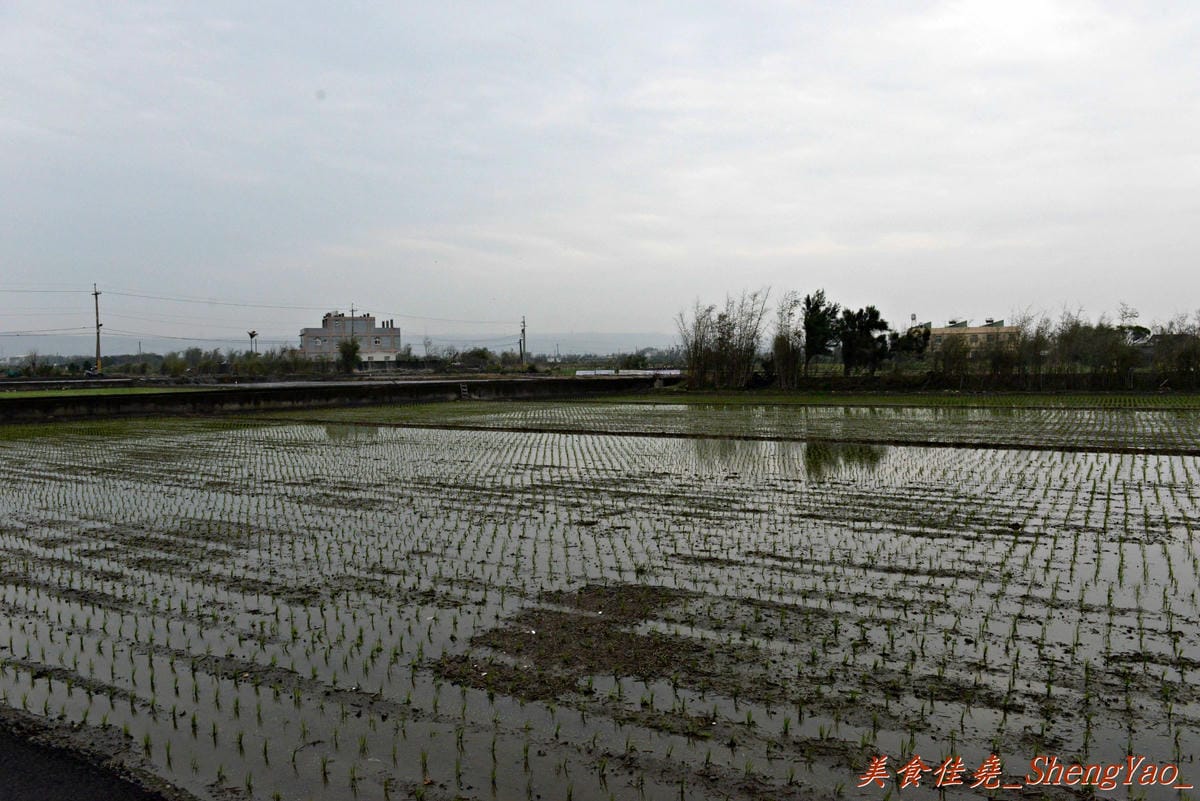 [台中清水]味香麵店 – 陪伴著無數在地清水人從小到大的回憶,素稱”高美大飯店”,簡單樸實的味道,便宜又大碗,每到中午用餐時段客人總是大排長龍。