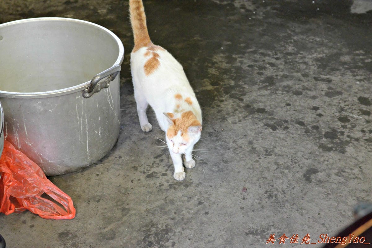 [台中清水]客庄麵店小吃 – 連清水人幾乎都不知道的超隱藏版小吃攤,價格便宜、份量驚人,店內充滿古早鄉土味,連煮菜都還是用灶,來這吃東西就像是回到鄉下阿嬤家用餐那樣倍感親切。