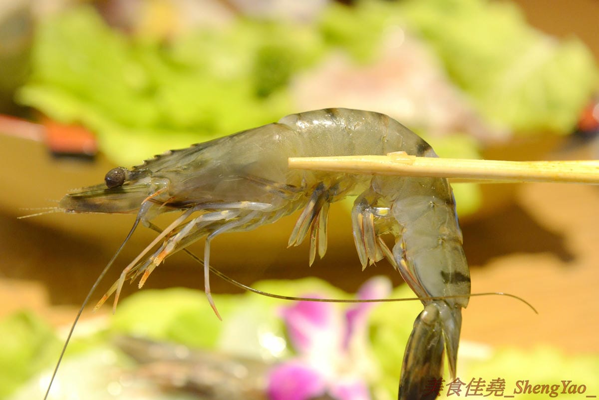 [台中梧棲]鍋全 日式涮涮鍋 – 梧棲新開幕的平價日式涮涮鍋,食材新鮮,價格平實,份量充足,飲料、冰品也是無限供應,6/9以前慶祝開幕消費全面85折。