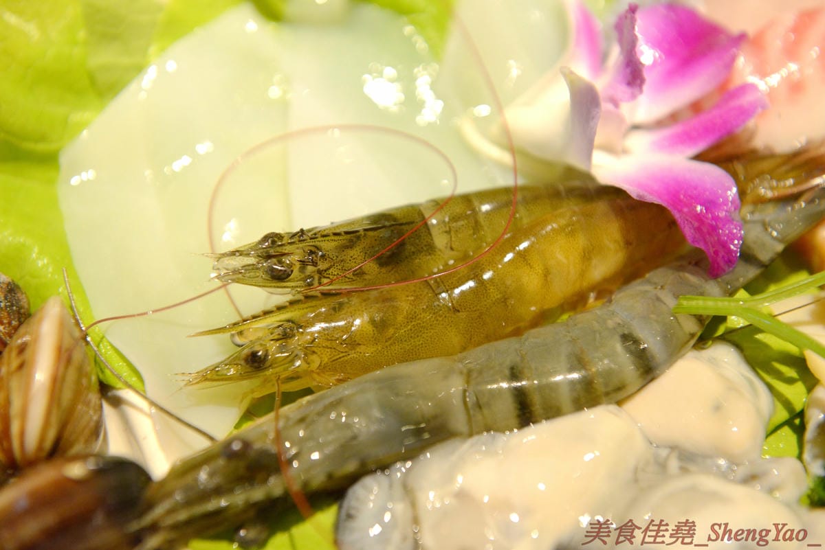 [台中梧棲]鍋全 日式涮涮鍋 – 梧棲新開幕的平價日式涮涮鍋,食材新鮮,價格平實,份量充足,飲料、冰品也是無限供應,6/9以前慶祝開幕消費全面85折。
