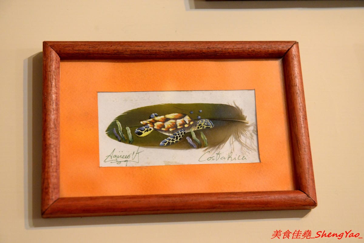 [台中西屯]麥意斯 – 超特別的異國風裝潢咖啡店,手作乾燥花吊燈美美的,餐點為蛋奶素,走健康養生風,咖啡豆為自家烘焙,咖啡相當有水準。