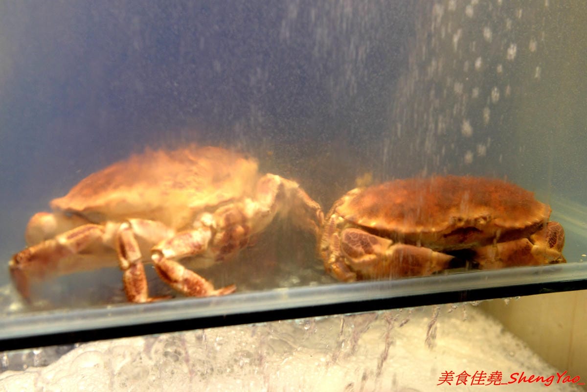 [台中沙鹿]大丸水產 – 台中少見、海線唯一一家”濱燒料理”居酒屋,新鮮現撈海鮮食材直接燒烤,店內氣氛相當熱鬧,沙鹿宵夜聚餐新地標,店家生意超好,建議事先訂位。