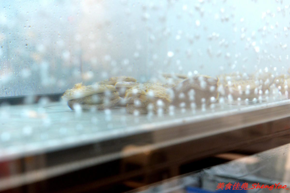 [台中沙鹿]覓鍋物 -沙鹿自創品牌鍋物,靜宜商圈上最大間最氣派的餐廳,鍋物價位一般,食材新鮮,肉盤夠份量又好吃,整個吃完很有飽足感,6/21-6/26試賣期間臉書打卡留言就送價值120元的肉盤。