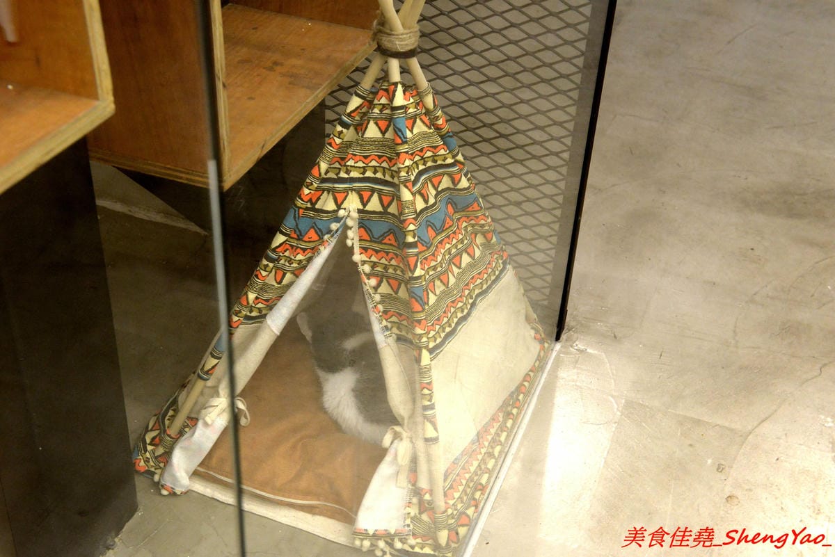 [台中西區]貓起來吃 – 不是貓咖啡而是貓冰店,賣的是日式刨冰,冰品和配料分開還蠻特別的,口味不錯有好吃,百元價格超便宜,店裡有兩隻可愛的店貓,可以一邊吃冰一邊觀看他們一舉一動,非常療癒