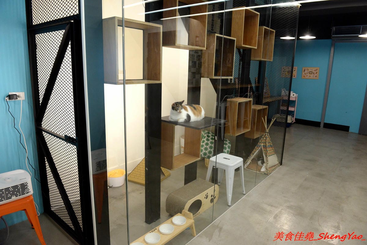 [台中西區]貓起來吃 – 不是貓咖啡而是貓冰店,賣的是日式刨冰,冰品和配料分開還蠻特別的,口味不錯有好吃,百元價格超便宜,店裡有兩隻可愛的店貓,可以一邊吃冰一邊觀看他們一舉一動,非常療癒