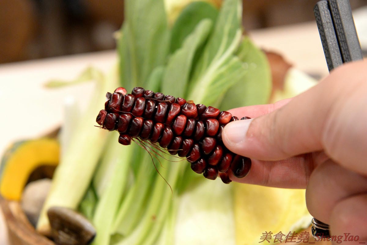 [台中南屯]想想鍋物 – 中南海集團新品牌鍋物餐廳,質感鍋物平價消費,菜盆有使用小農作物,肉品份量超充足,店內還有8種口味明治冰淇淋吃到飽,最便宜肉品鍋只要260元。10/16前店內吃鍋就送一張”