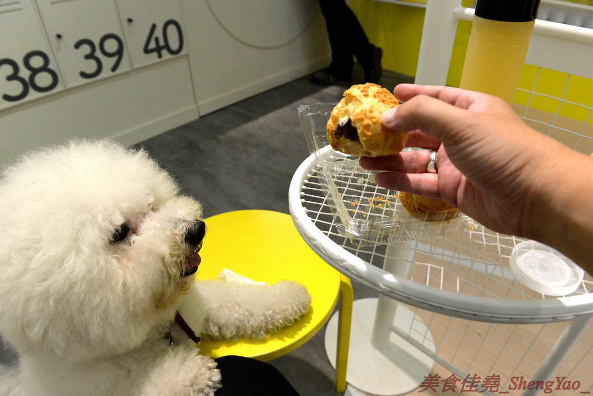 [台中西區]Puff Ball 泡芙球 – 台中最新網美IG打卡地標,以網球為主題的甜點店,店內就是個迷你網球場,球拍變桌子、球罐是禮盒,取餐要從置物櫃,創意十足,整間店處處都好拍,店內員工美眉個個都是