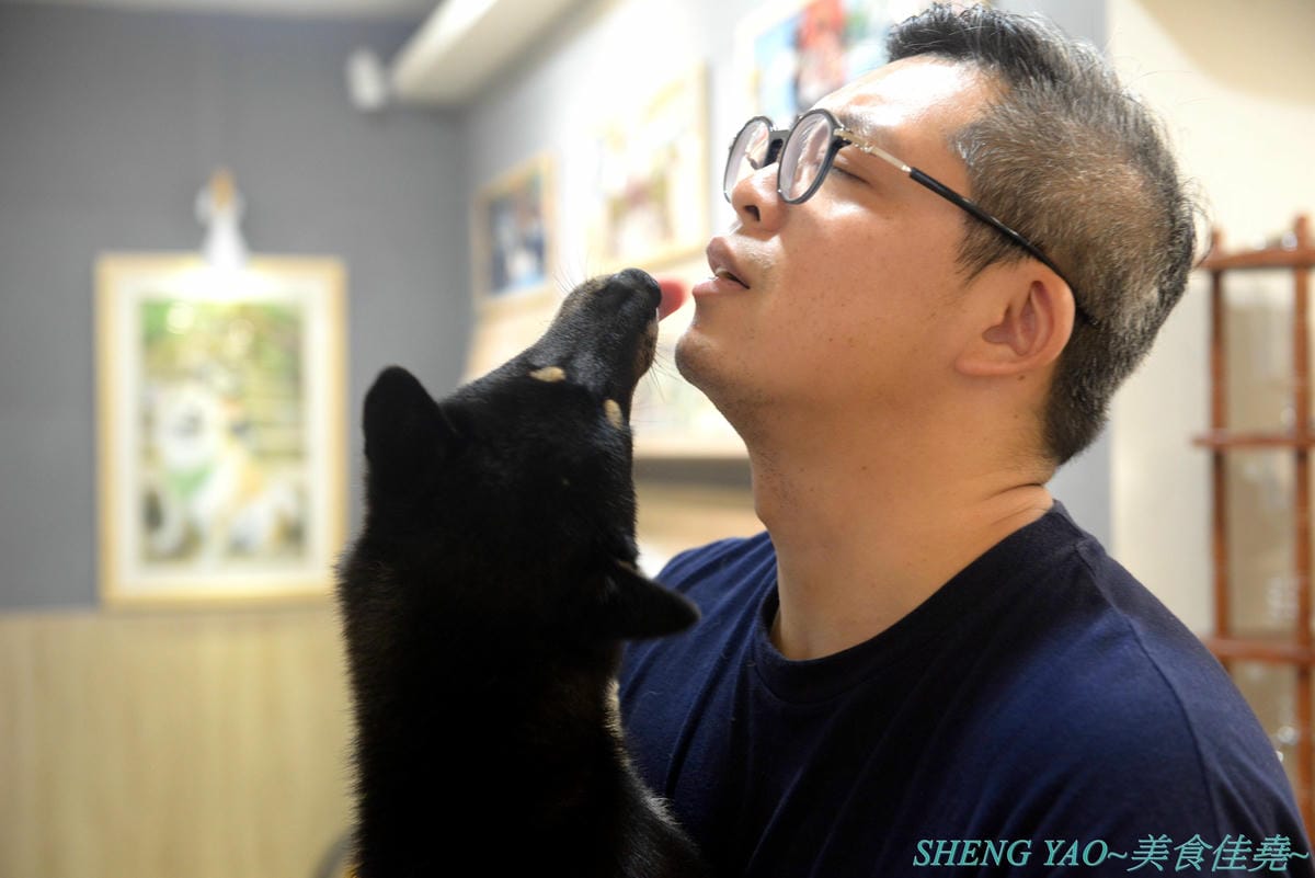 [台中西區]此木二水 Shiba Kori – 台中第一家柴犬主題文創冰店,寵物友善餐廳,店內不但有超可愛黑柴店長,還有一些和柴犬有關的圖書、裝飾,療癒感十足,主要販售手作雪花冰和港式糖水,雪花冰口