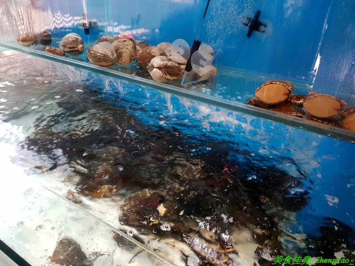 [台中沙鹿]千波苑 – 沙鹿新開的精緻鍋物餐廳,質感裝潢,湯頭有特色,食材新鮮,竟然還有日本A5近江和牛和現撈活龍蝦,隨餐就附一整壺冰紅茶,餐後還有甜點,C/P值不差,旁邊有附設停車場,停車超方