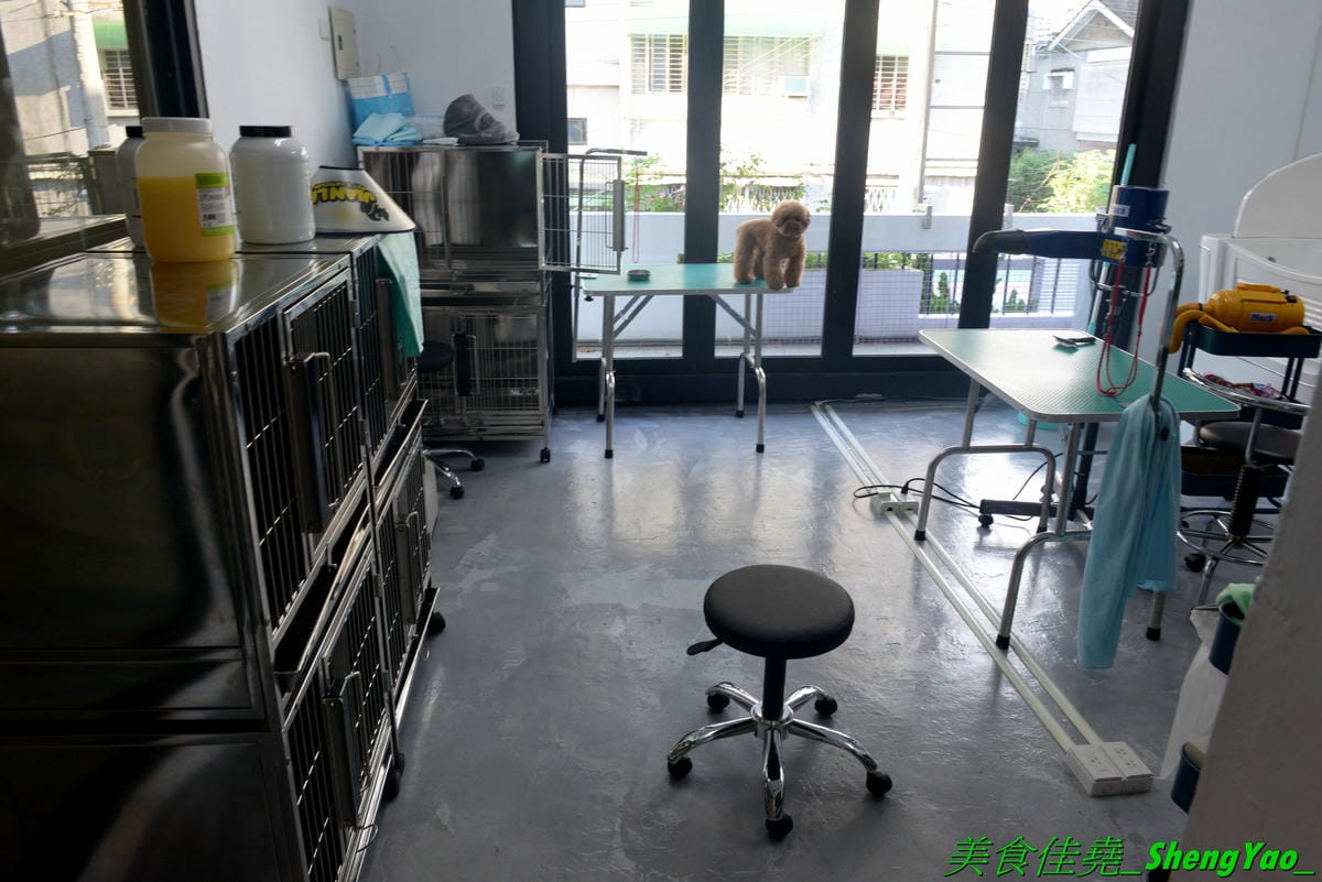 [台中西區]踏踏地球 Ta Ta Earth – 台中新開的結合寵物美容住宿的寵物友善餐廳,有人類餐點也有狗狗的專用餐,可以帶毛小孩一起來用餐,餐點口味不錯有好吃,老闆娘超有愛心很疼狗狗,店內有5隻店