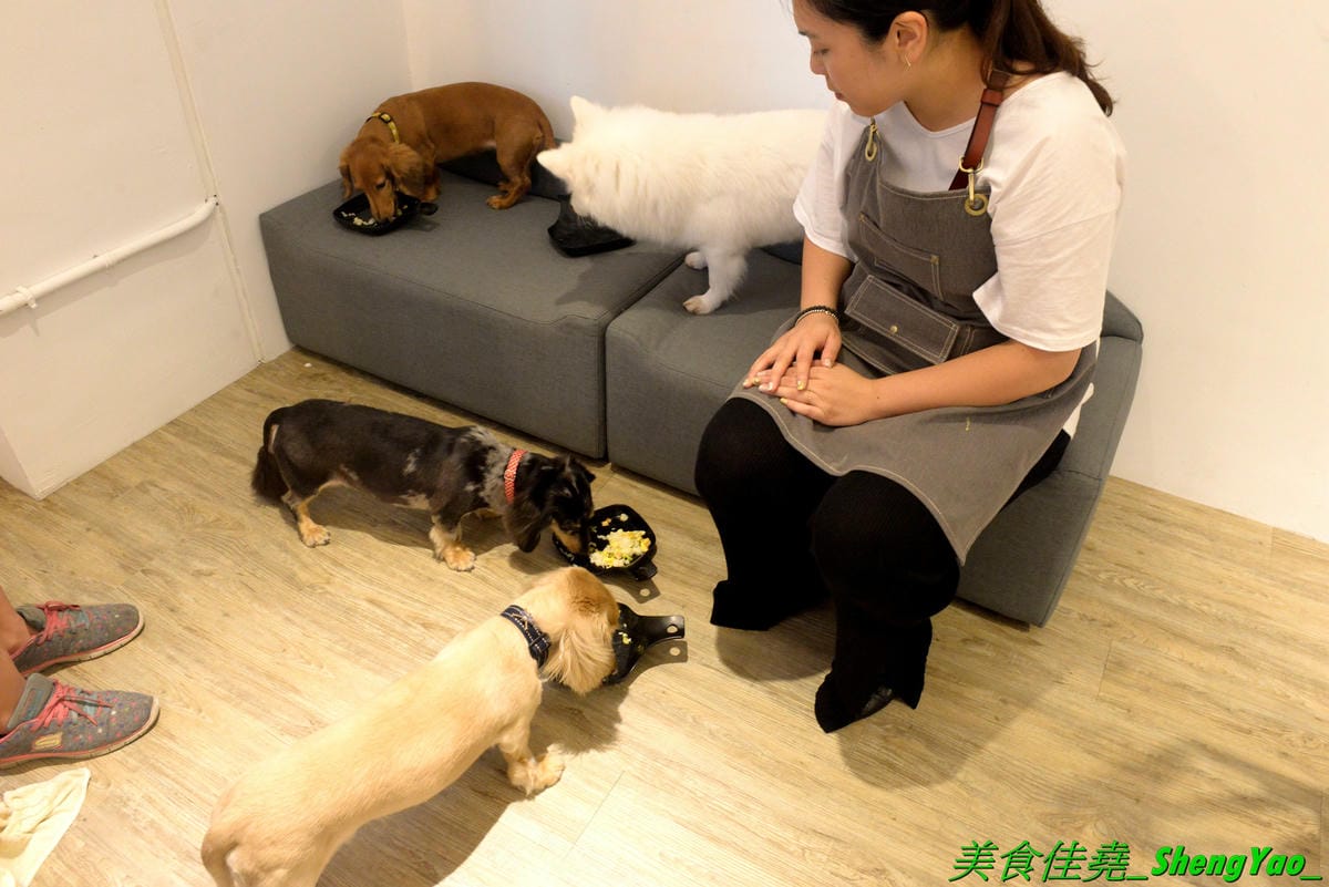 [台中西區]踏踏地球 Ta Ta Earth – 台中新開的結合寵物美容住宿的寵物友善餐廳,有人類餐點也有狗狗的專用餐,可以帶毛小孩一起來用餐,餐點口味不錯有好吃,老闆娘超有愛心很疼狗狗,店內有5隻店