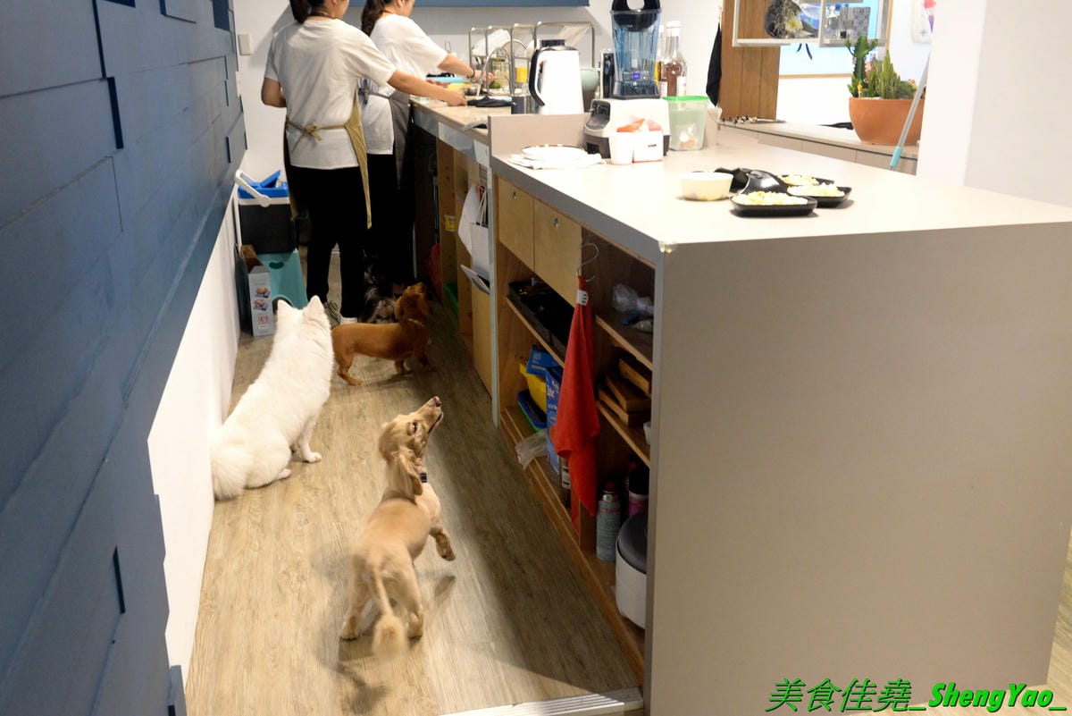 [台中西區]踏踏地球 Ta Ta Earth – 台中新開的結合寵物美容住宿的寵物友善餐廳,有人類餐點也有狗狗的專用餐,可以帶毛小孩一起來用餐,餐點口味不錯有好吃,老闆娘超有愛心很疼狗狗,店內有5隻店