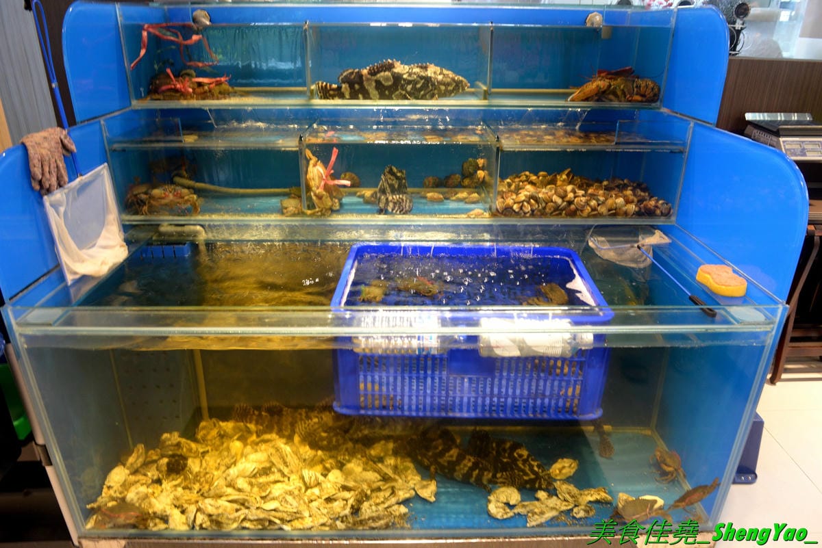 [台中龍井]旭川鱻鍋物 – 台中海線首家活體海鮮蒸氣火鍋,一個人也能吃的蒸氣鍋,特色湯頭均不加價,超多種現撈活體海鮮,平價消費不收服務費,7月底以前用餐打卡分享就免費續肉盤,雙人套餐可續