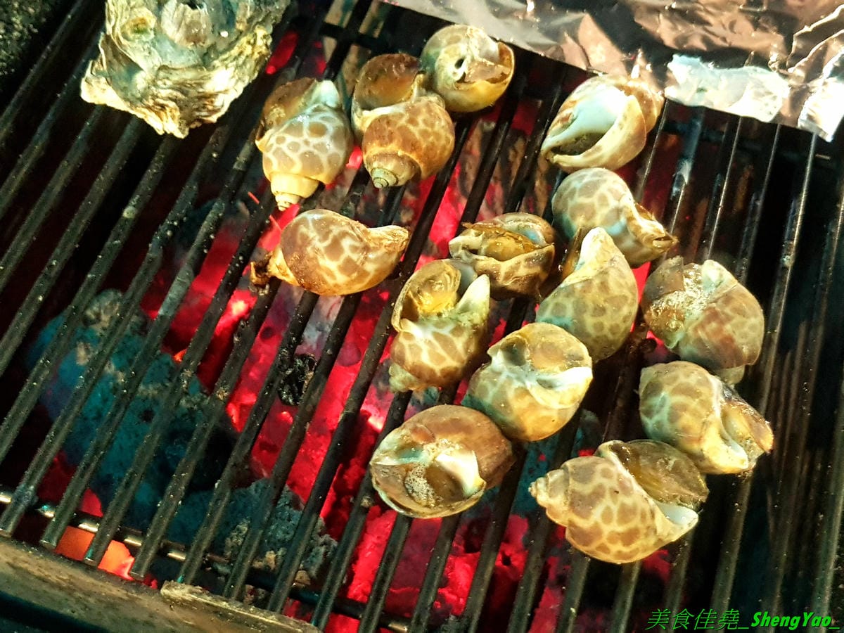 [台中沙鹿]蠔膽你來 – 沙鹿知名平價露天碳烤,400多元就能享用各種肉類、海鮮的燒烤和火鍋以及數十種熟食,用餐時間可達三小時,烤好烤滿。烤肉場地寬敞,有兒童遊戲區和卡拉OK包廂,還能看夜景