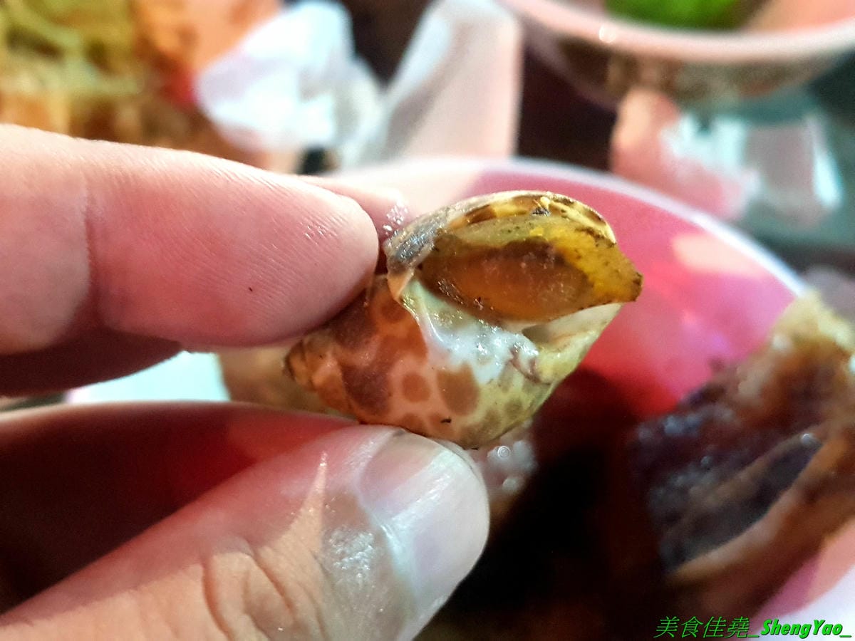 [台中沙鹿]蠔膽你來 – 沙鹿知名平價露天碳烤,400多元就能享用各種肉類、海鮮的燒烤和火鍋以及數十種熟食,用餐時間可達三小時,烤好烤滿。烤肉場地寬敞,有兒童遊戲區和卡拉OK包廂,還能看夜景