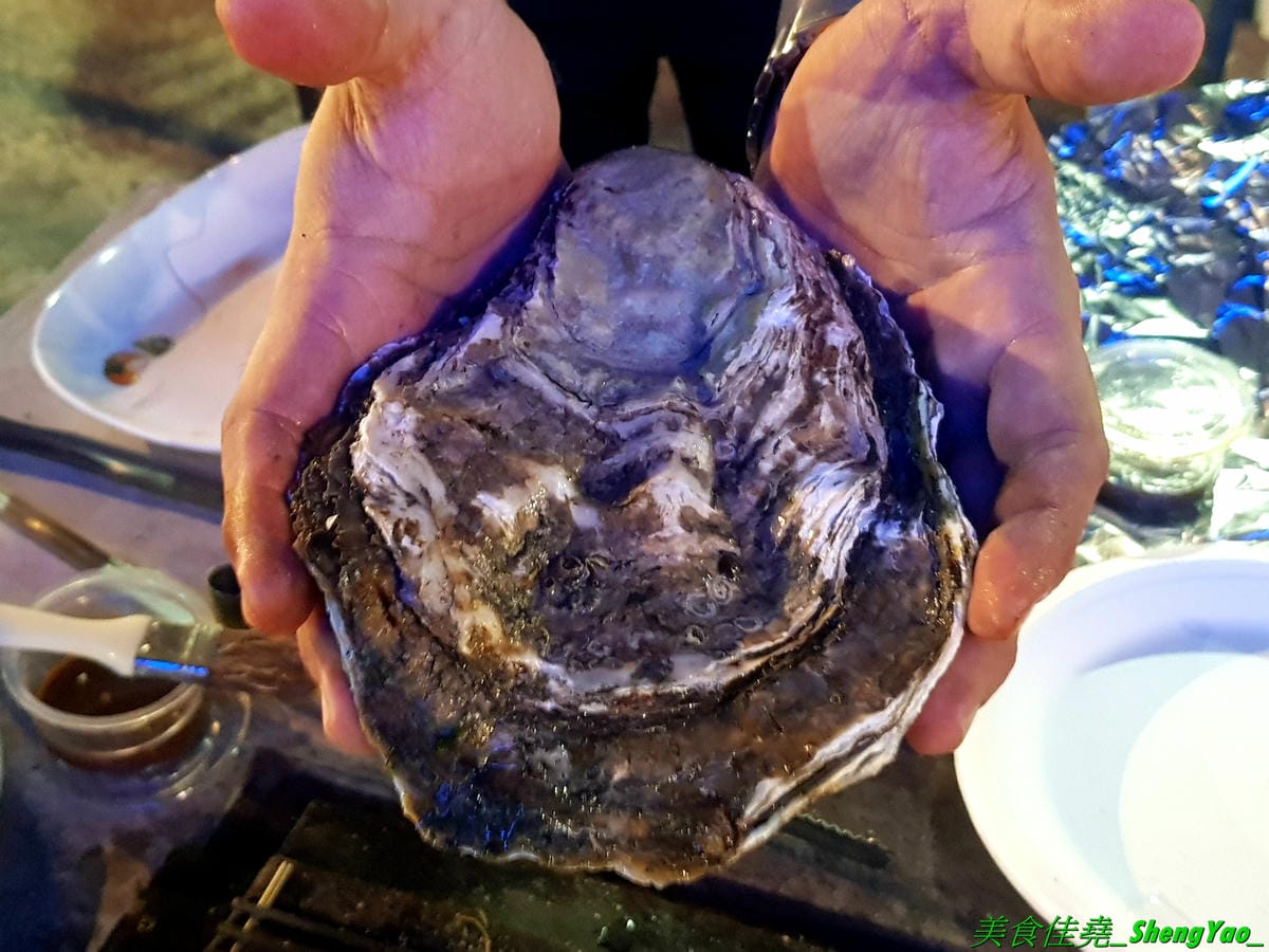 [台中沙鹿]蠔膽你來 – 沙鹿知名平價露天碳烤,400多元就能享用各種肉類、海鮮的燒烤和火鍋以及數十種熟食,用餐時間可達三小時,烤好烤滿。烤肉場地寬敞,有兒童遊戲區和卡拉OK包廂,還能看夜景