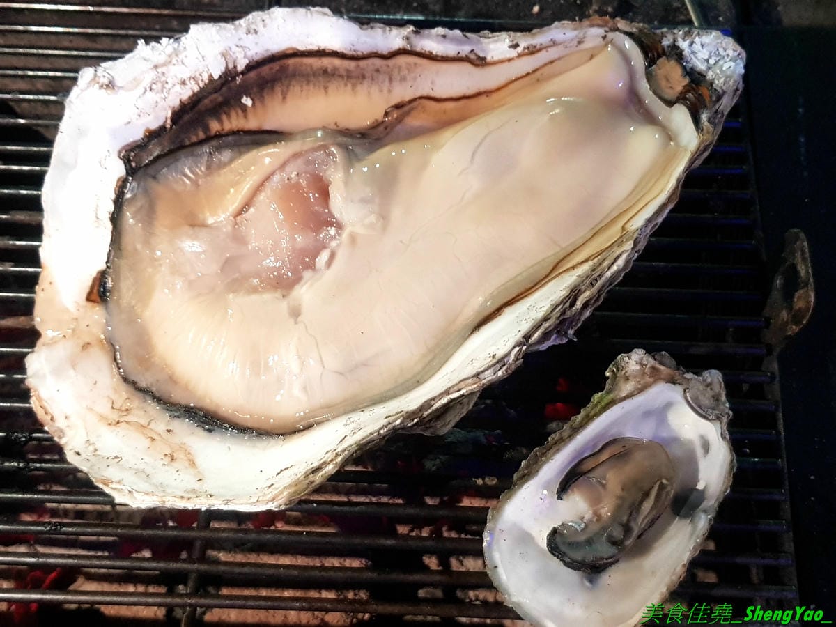 [台中沙鹿]蠔膽你來 – 沙鹿知名平價露天碳烤,400多元就能享用各種肉類、海鮮的燒烤和火鍋以及數十種熟食,用餐時間可達三小時,烤好烤滿。烤肉場地寬敞,有兒童遊戲區和卡拉OK包廂,還能看夜景