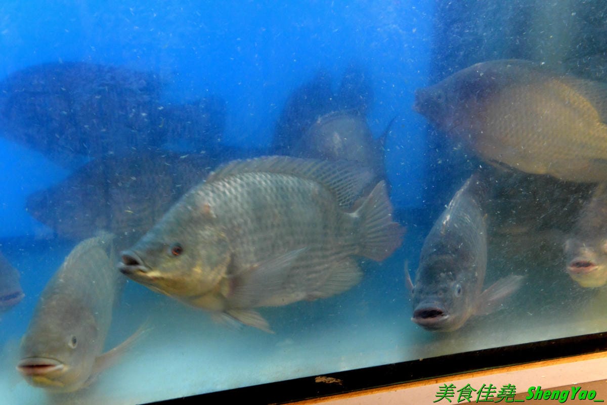 DSC_8849.JPG