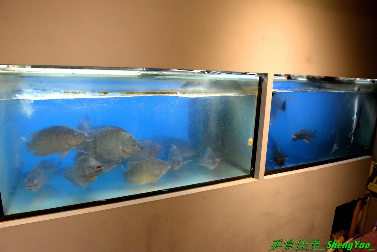 DSC_8853.JPG