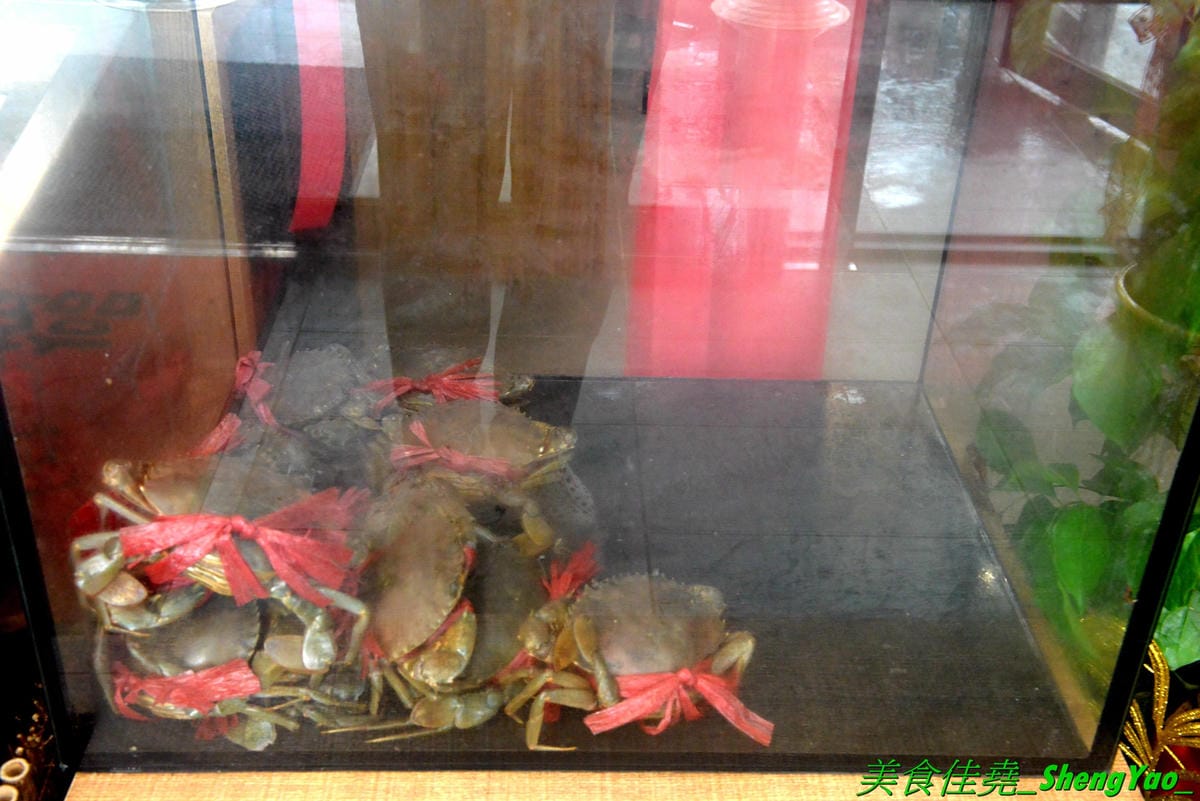 DSC_0824.JPG DSC_0824.JPG