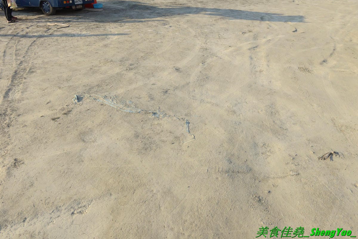 DSC_3769.JPG