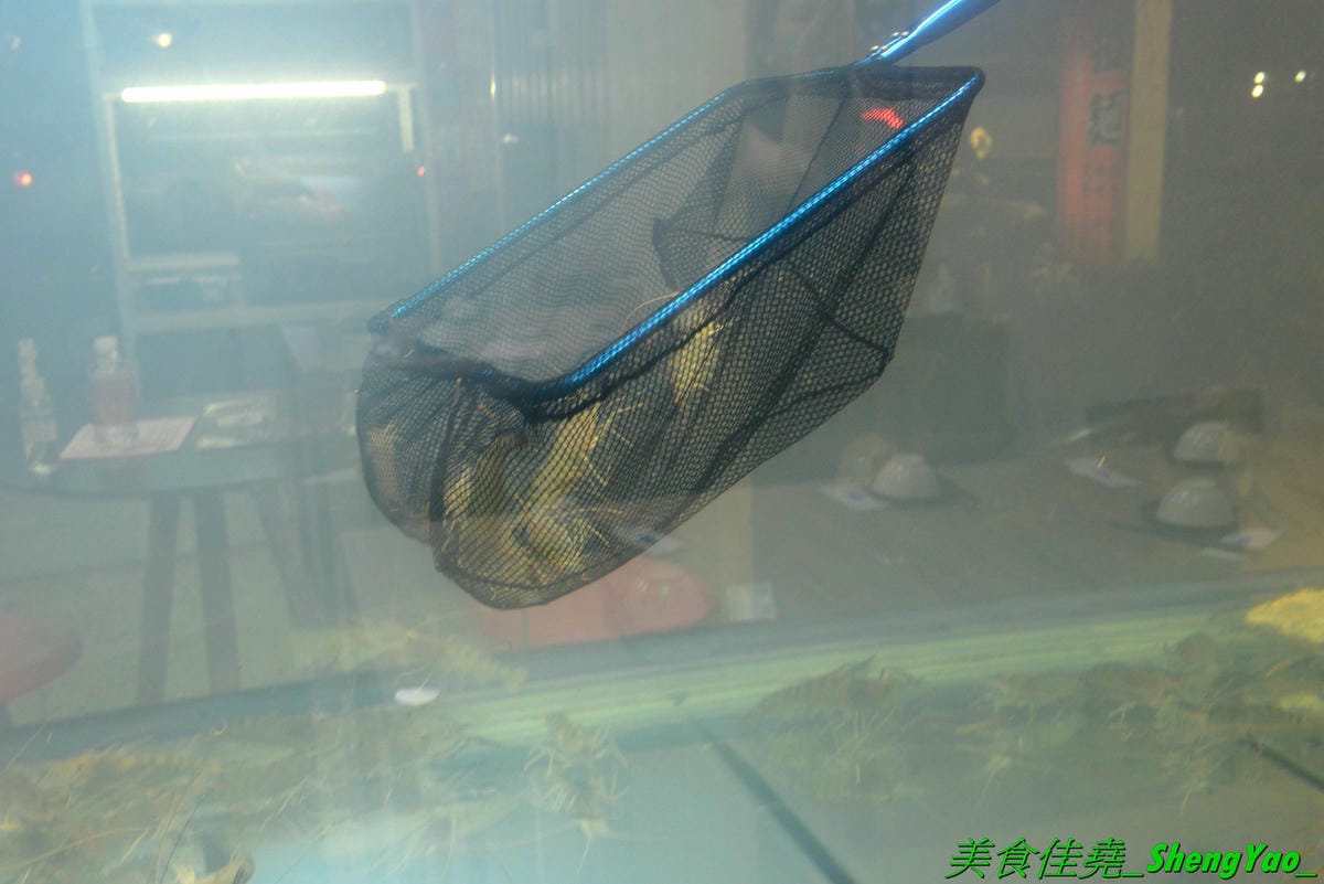 DSC_4907.JPG