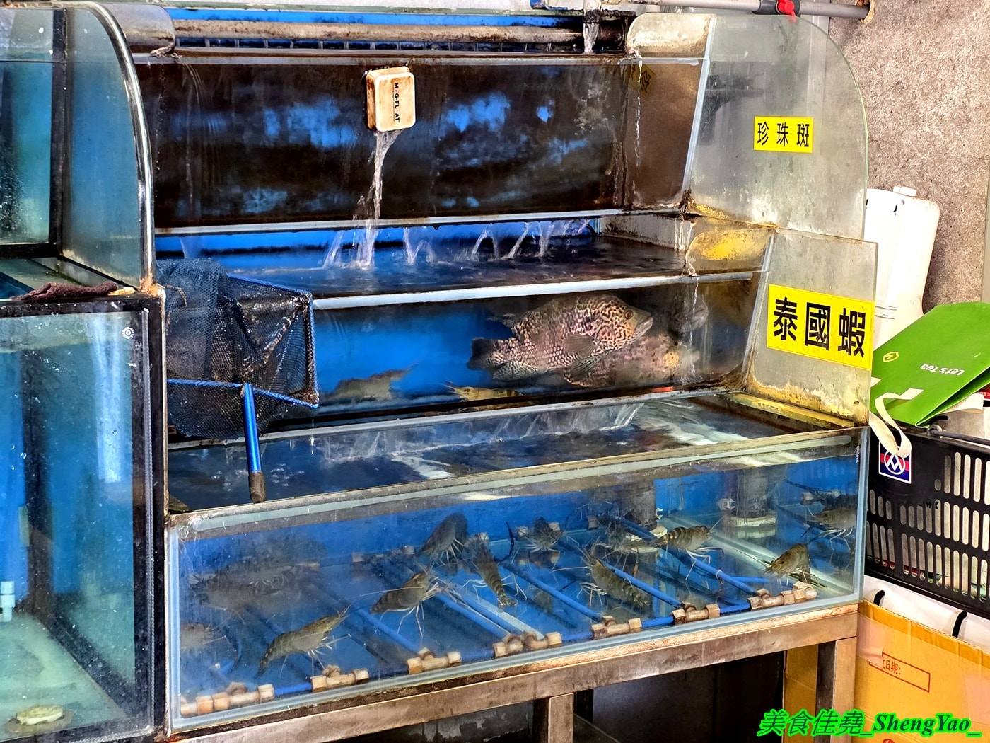 [台中沙鹿]黃師傅活海鮮 – 黃師傅活海鮮2026除夕外帶年菜，八道菜有開胃冷菜有魚有雞湯有佛跳牆，另外還送你甜點，價格公道，份量十足。