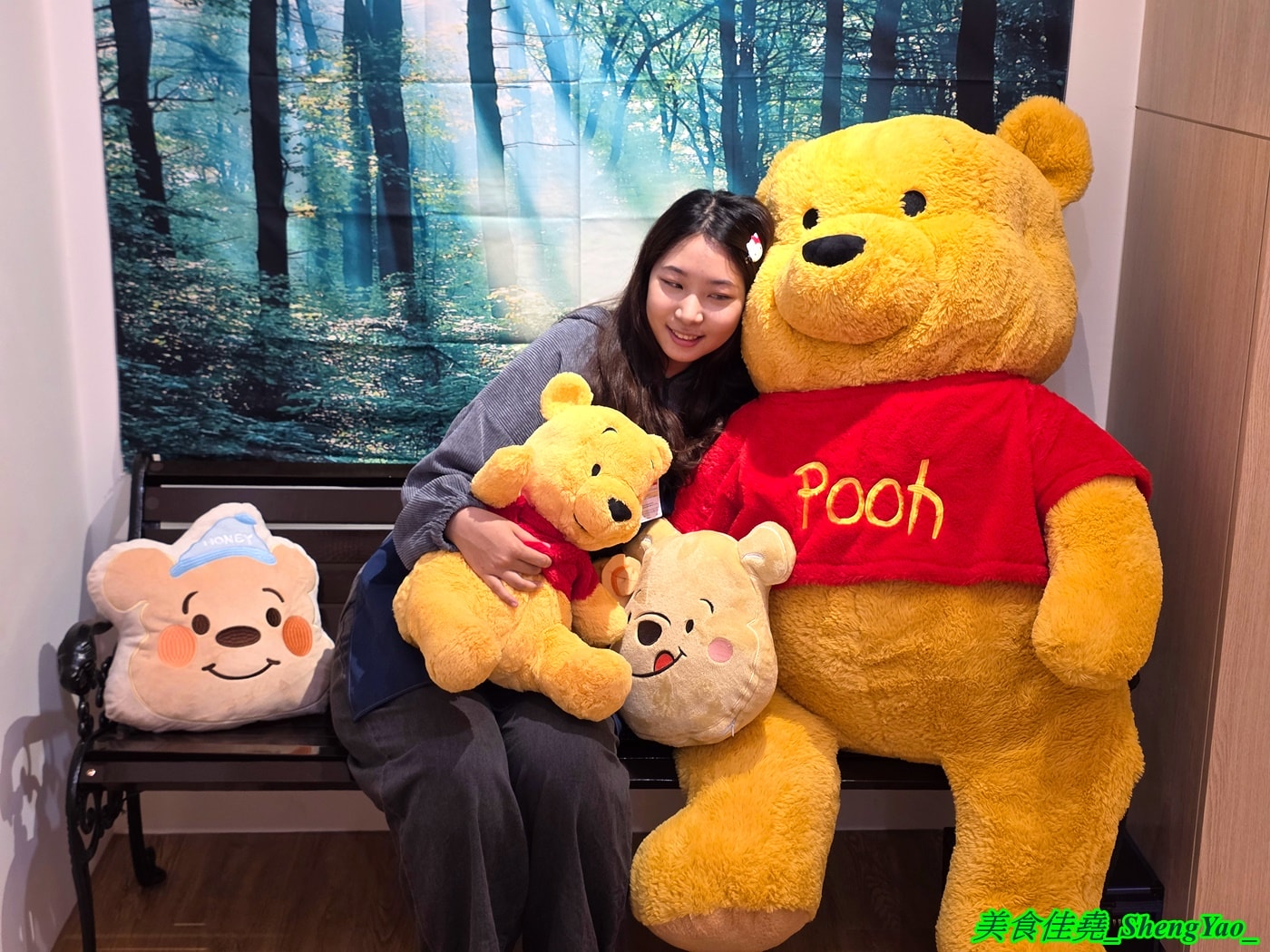 [台中沙鹿]Honey Corner 蜜糖角落 – 全台第一間小熊維尼故事主題下午茶，店內有一大堆和小熊維尼有關的娃娃和物品，還可以陪吃，療癒感整個拉滿。
