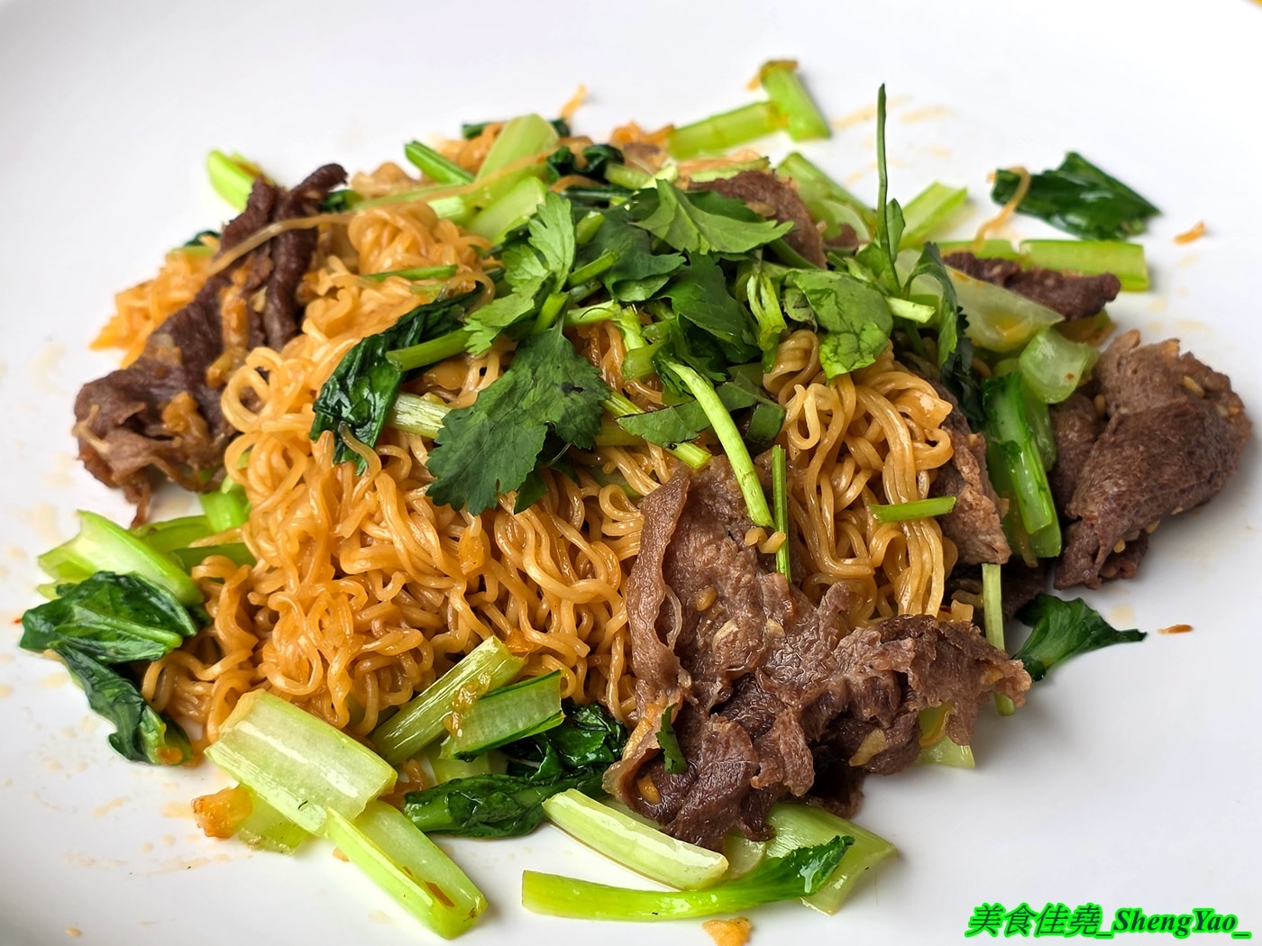 [台中沙鹿]西貢烤肉飯 – 海線新開幕越南小吃，品項多樣還有少見的越南家鄉菜，內用有免費飲料，開幕頭三天2/6-2/8飯麵通通都100元。