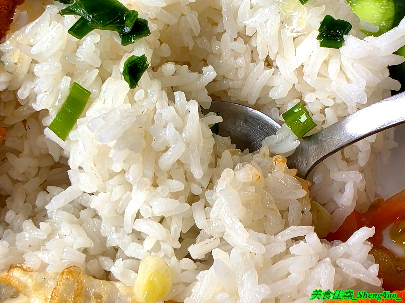 [台中沙鹿]西貢烤肉飯 – 海線新開幕越南小吃，品項多樣還有少見的越南家鄉菜，內用有免費飲料，開幕頭三天2/6-2/8飯麵通通都100元。