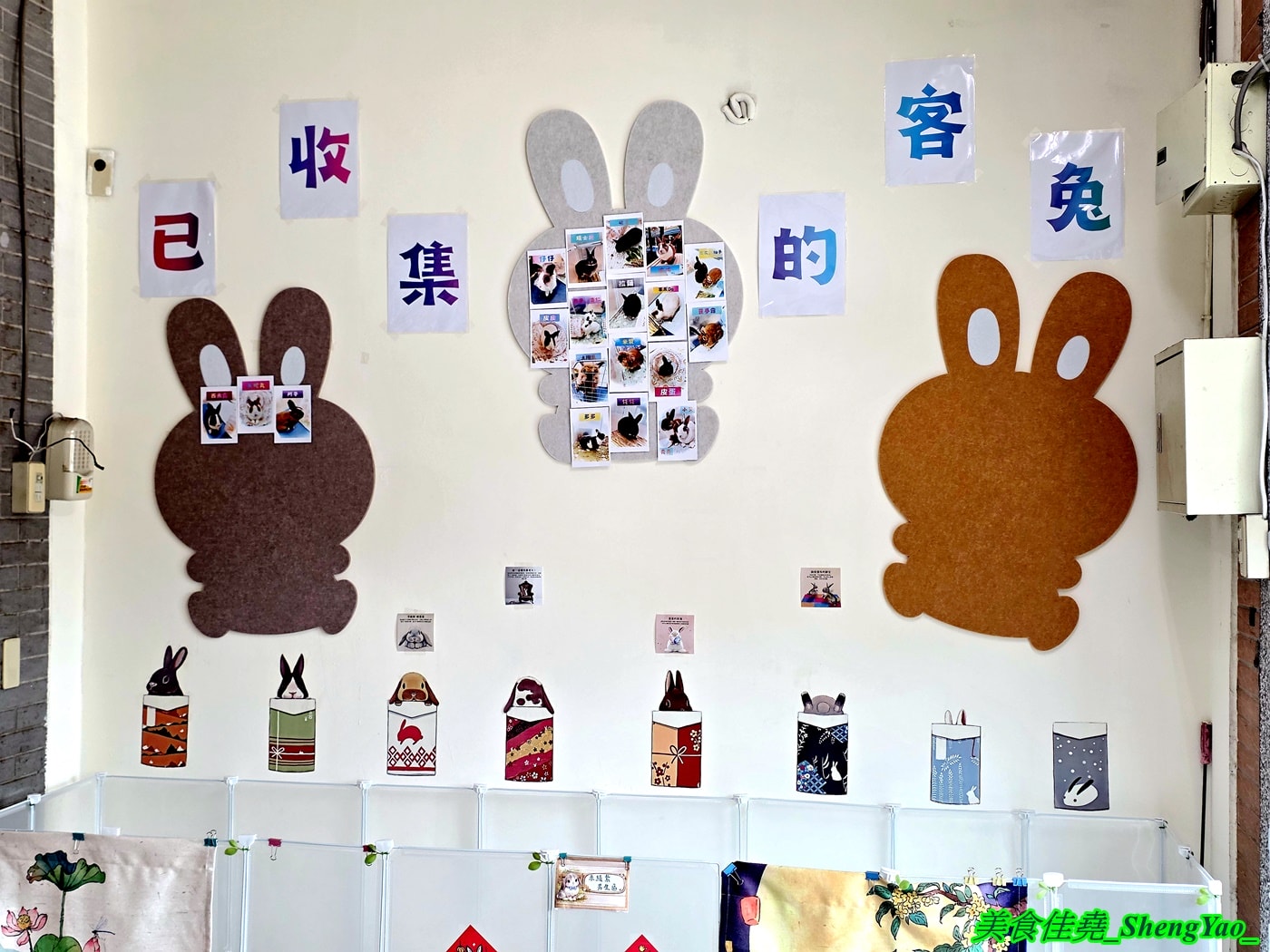 [台中沙鹿]斜槓兔兔 – 海線新開幕的兔子友善餐廳，周末假日會有可愛店兔出沒，平日也可以帶自己的兔子來交朋友。
