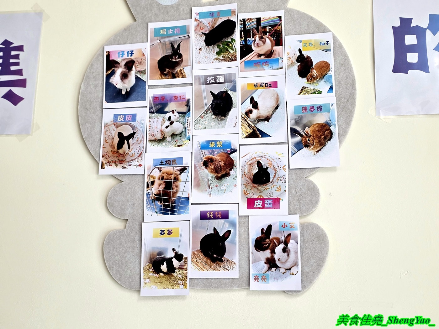 [台中沙鹿]斜槓兔兔 – 海線新開幕的兔子友善餐廳，周末假日會有可愛店兔出沒，平日也可以帶自己的兔子來交朋友。