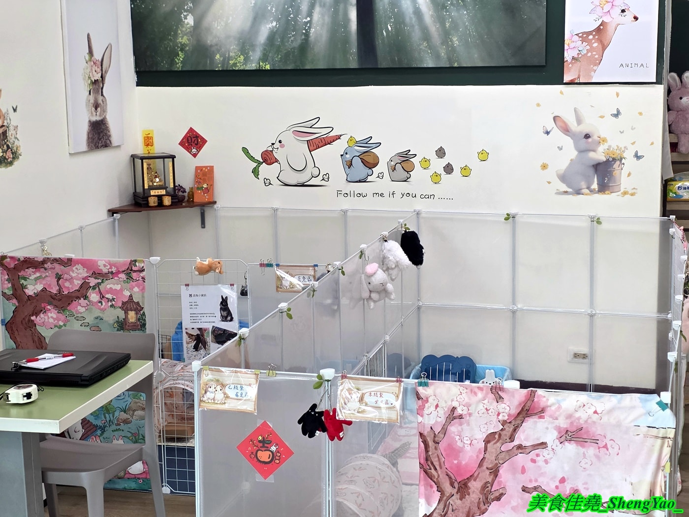 [台中沙鹿]斜槓兔兔 – 海線新開幕的兔子友善餐廳，周末假日會有可愛店兔出沒，平日也可以帶自己的兔子來交朋友。