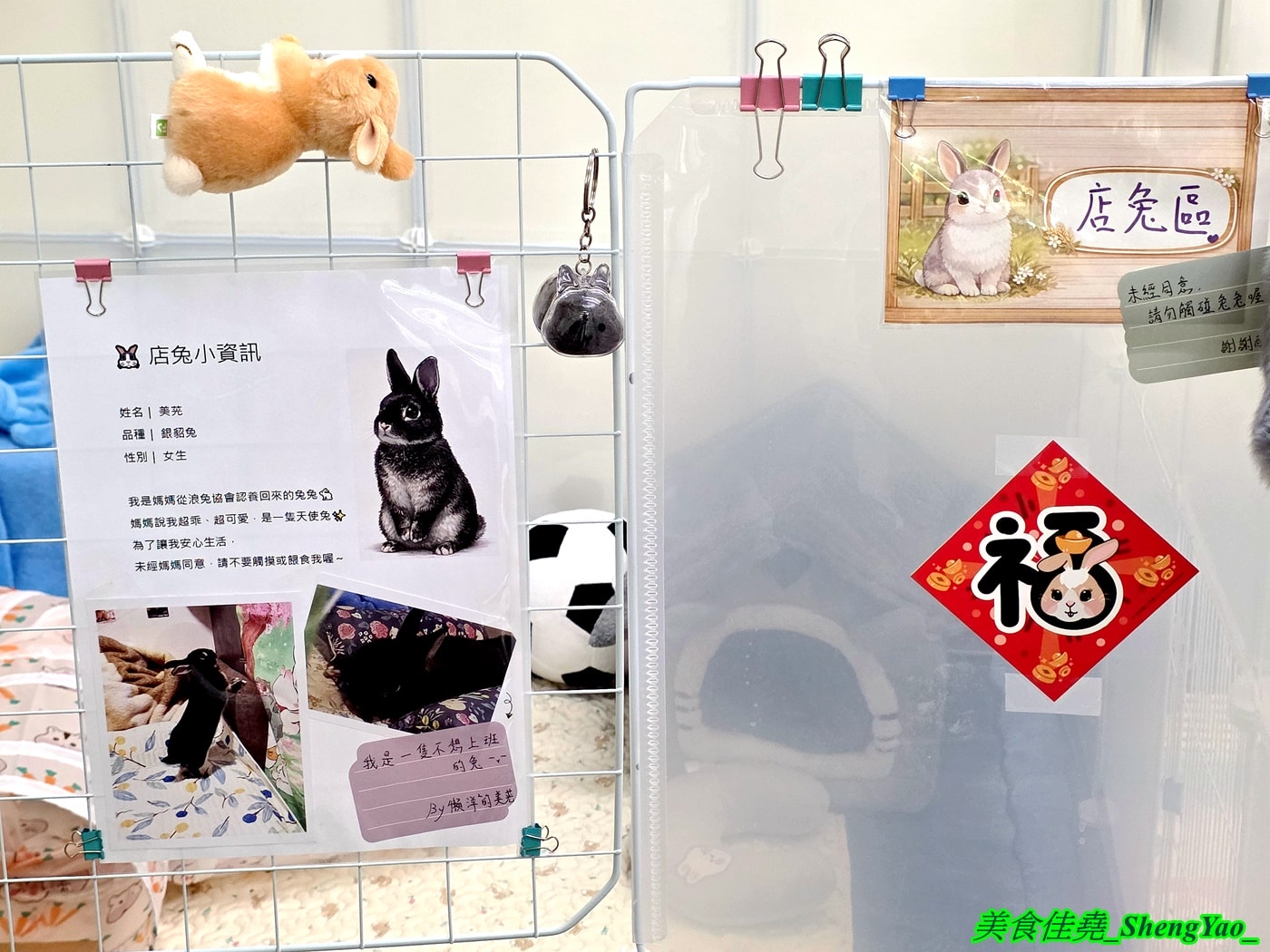 [台中沙鹿]斜槓兔兔 – 海線新開幕的兔子友善餐廳，周末假日會有可愛店兔出沒，平日也可以帶自己的兔子來交朋友。