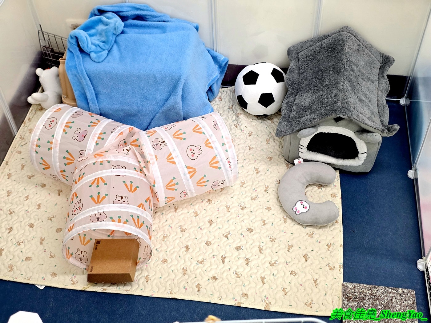 [台中沙鹿]斜槓兔兔 – 海線新開幕的兔子友善餐廳，周末假日會有可愛店兔出沒，平日也可以帶自己的兔子來交朋友。