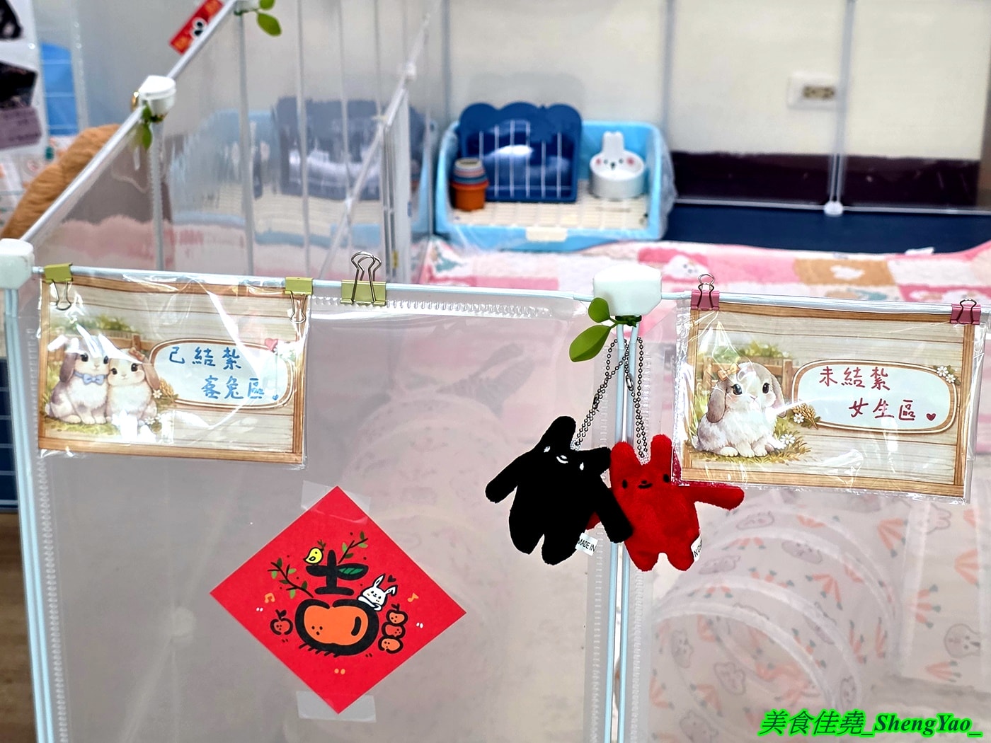 [台中沙鹿]斜槓兔兔 – 海線新開幕的兔子友善餐廳，周末假日會有可愛店兔出沒，平日也可以帶自己的兔子來交朋友。