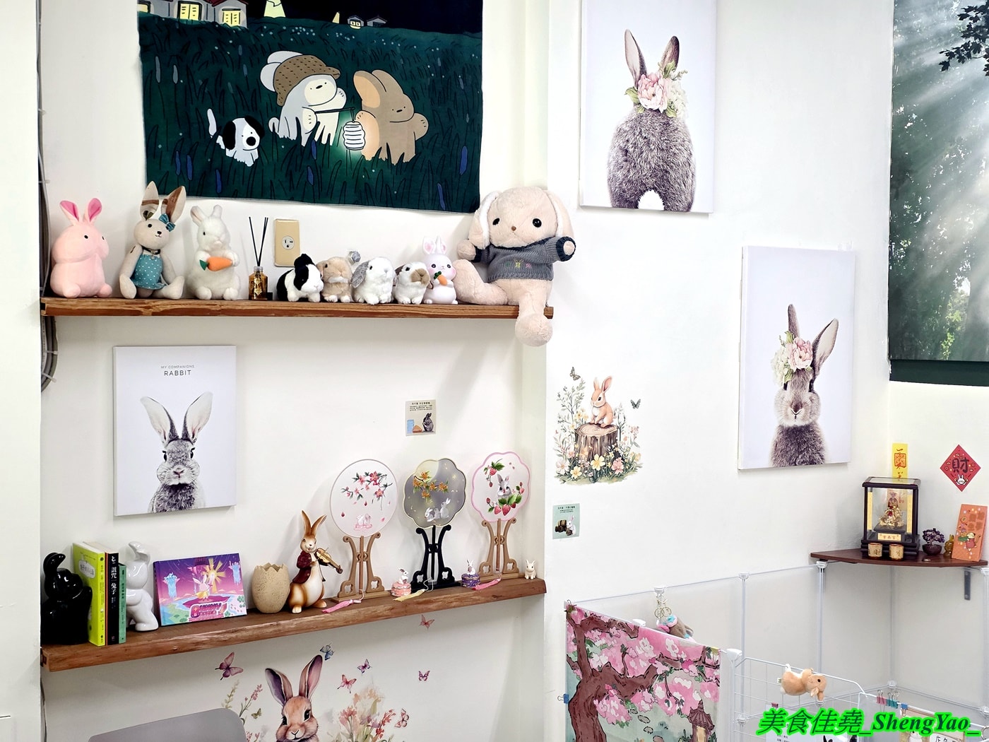 [台中沙鹿]斜槓兔兔 – 海線新開幕的兔子友善餐廳，周末假日會有可愛店兔出沒，平日也可以帶自己的兔子來交朋友。
