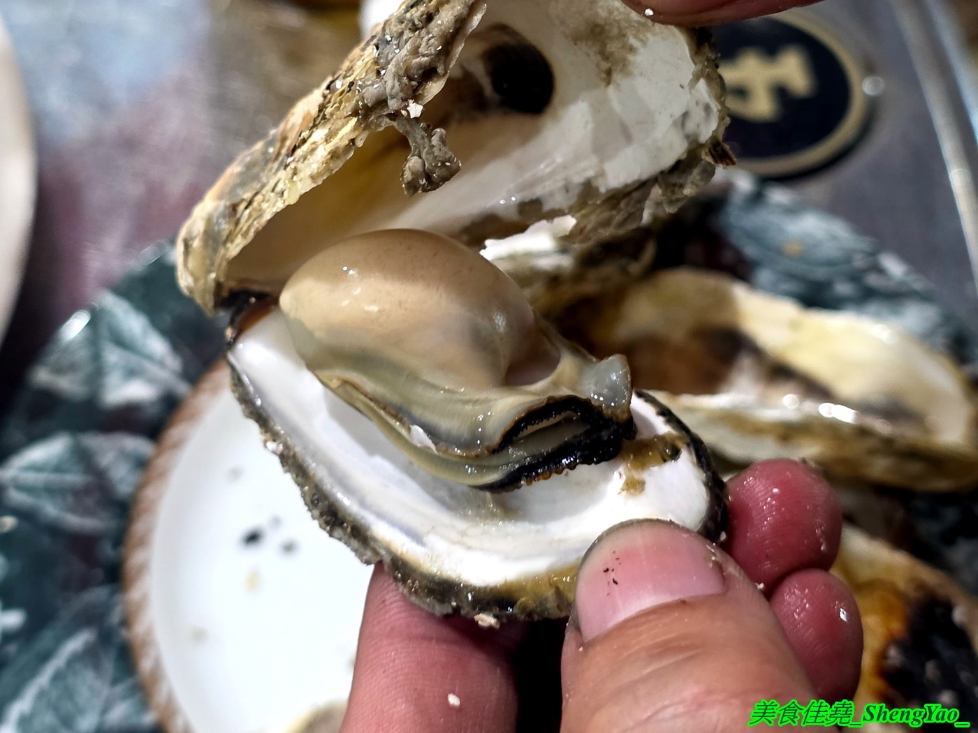 [台中沙鹿]海線蚵姐 – 海線超平價烤鮮蚵吃到飽，鮮蚵又肥又大，吃起來有夠爽，還能加購蛤蠣吃到飽，店內也有豐富多樣熱炒，他們熱炒也超強。