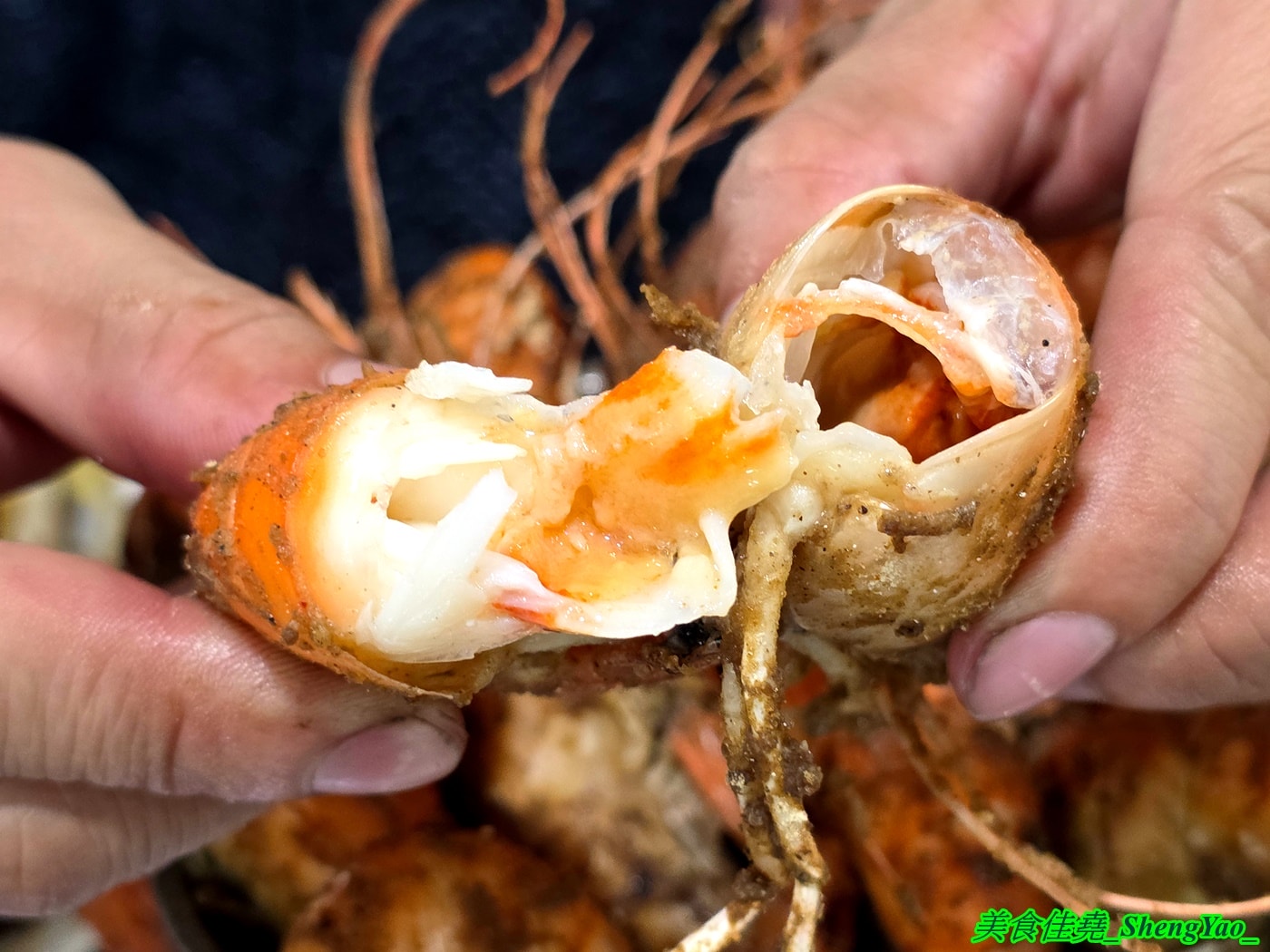 [台中沙鹿]海線蚵姐 – 海線超平價烤鮮蚵吃到飽，鮮蚵又肥又大，吃起來有夠爽，還能加購蛤蠣吃到飽，店內也有豐富多樣熱炒，他們熱炒也超強。