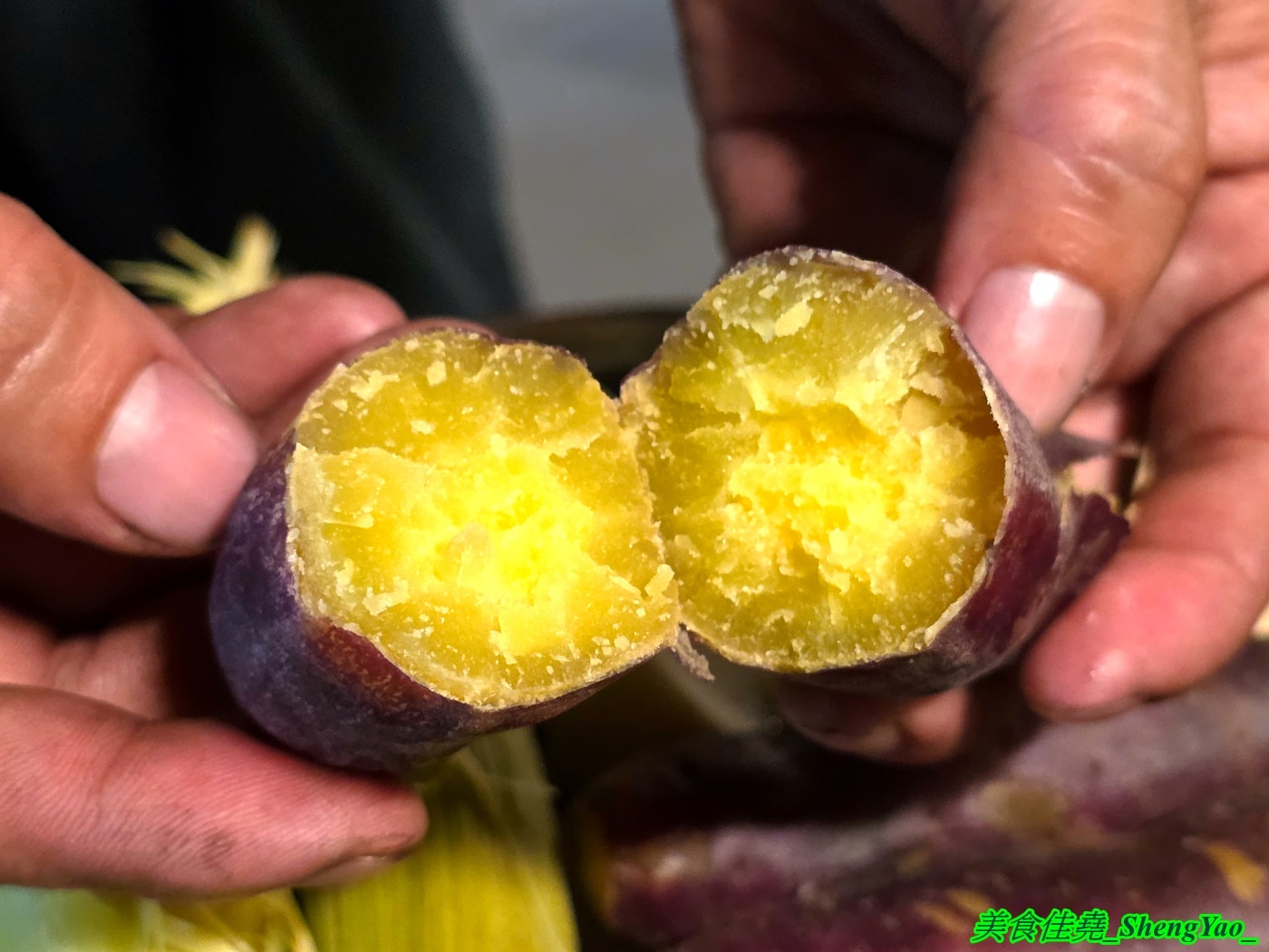 [台中沙鹿]乳牛牧場 – 台中海線國際化的戶外碳烤吃到飽景觀餐廳，很常有外國人來吃，自助區東西豐富多樣，平日一人569元，特定時段甚至不用500元，可以3小時無限吃到飽，C/P值有夠頂。